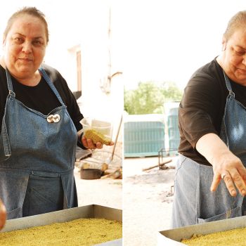 Η ταυτότητα της ελληνικής γεύσης