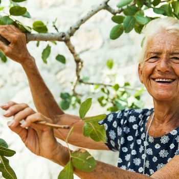 Η αλήθεια για τα φιστίκια Αιγίνης