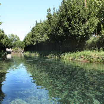 Πέστροφεs Ορχομενού