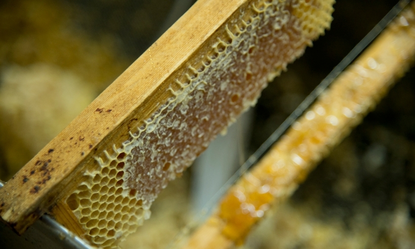 Η κερήθρα με το μέλι στο εργαστήριο του καλού μελισσοκόμου