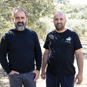 Βραβείο Παραγωγής Ελαιολάδου - LITRONDI - ΕΛΑΙΟΤΡΙΒΕΙΟ ΑΝΑΛΙΟΝΤΑ