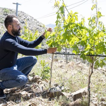 Βραβείο Παραγωγής Αποστάγματος ΖΙΒΑΝΙΑ - ASKON ART WINES