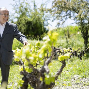 Βραβείο Εξαιρετικής Ποιότητας ΚΟΥΜΑΝΤΑΡΙΑ 2017 - ΟΙΝΟΠΟΙΕΙΟ ΑΓΙΑ ΜΑΥΡΗ 